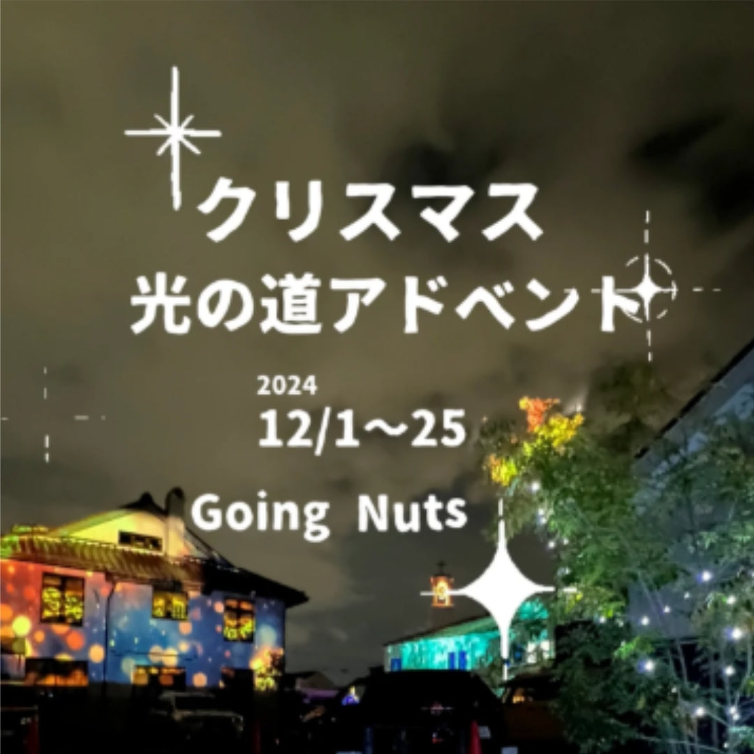 「クリスマス光の道アドベント」を開催中!