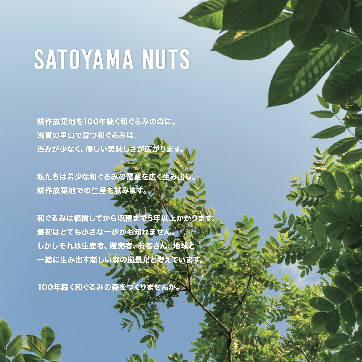 WAGURUMI TO MIKAN 100g