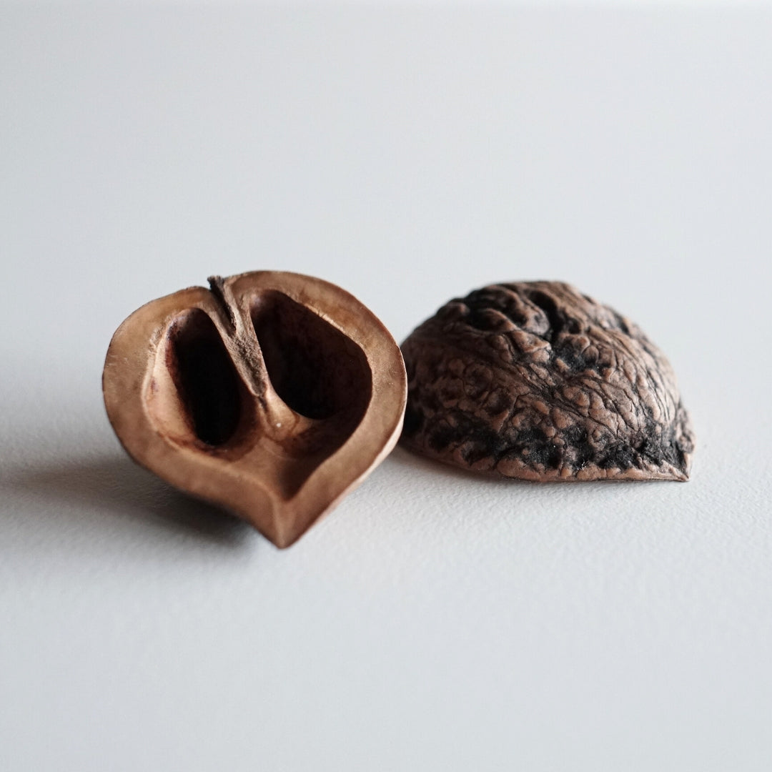 BIWAKO WAGURUMI(新物)