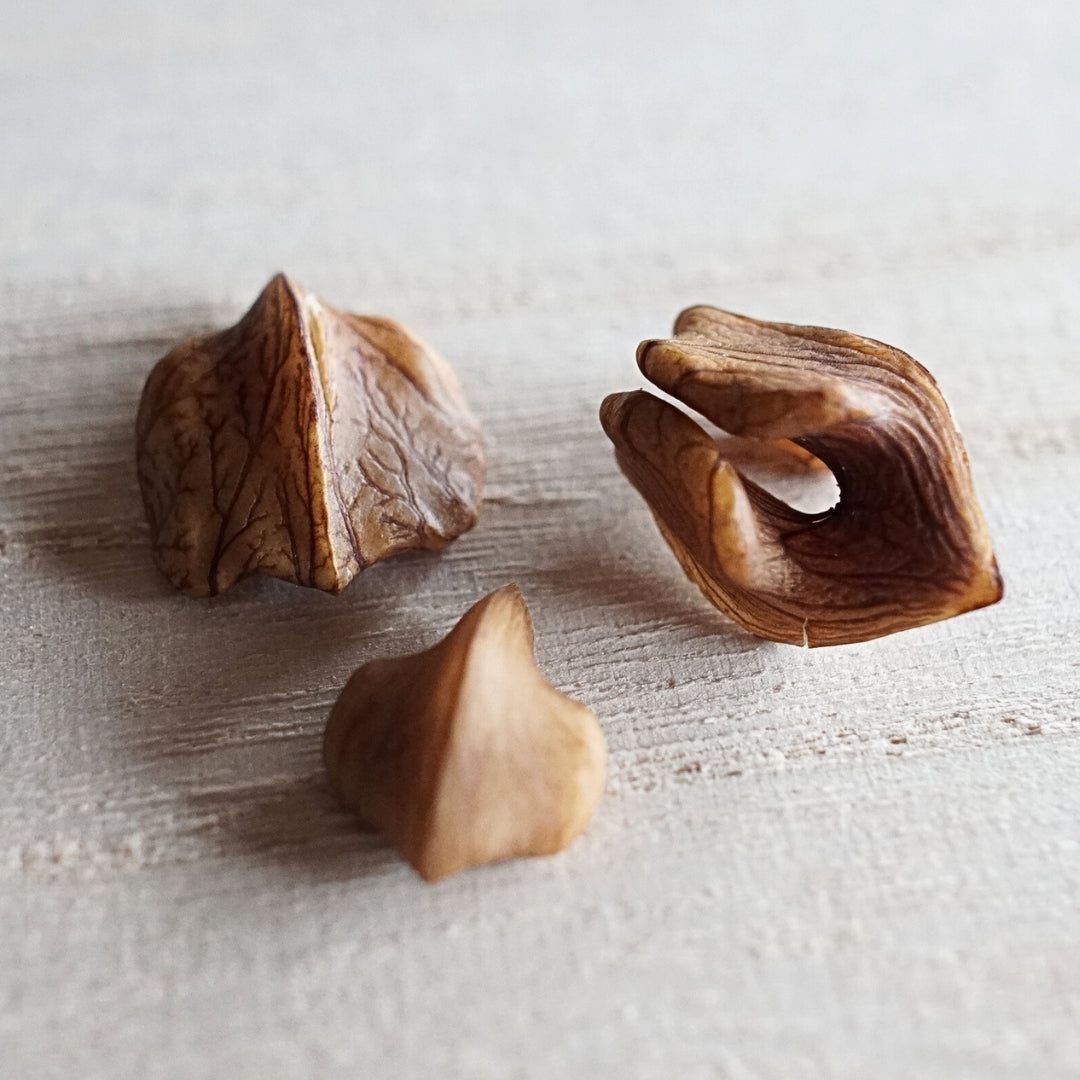 商品一覧 | Going Nuts!オンラインSHOP